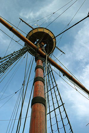 Mayflower mast