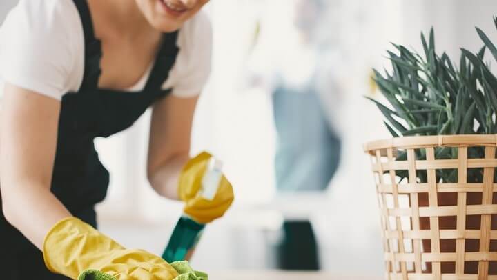 National Cleaning Week National Cleaning Week, What You May Have Missed