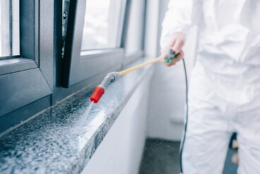 Chemical Treatments Using chemicals can be an effective way to deter pests
