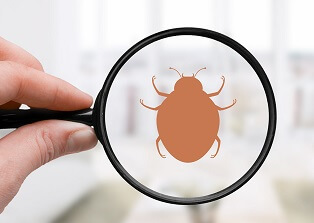 Catch a Pest Use these methods to catch a pest before it becomes a problem