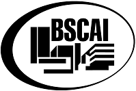 partner bscai logo